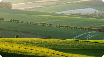 Rolling green landscape representing natural resources