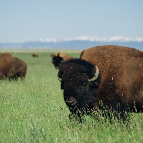 Farm business startup courses