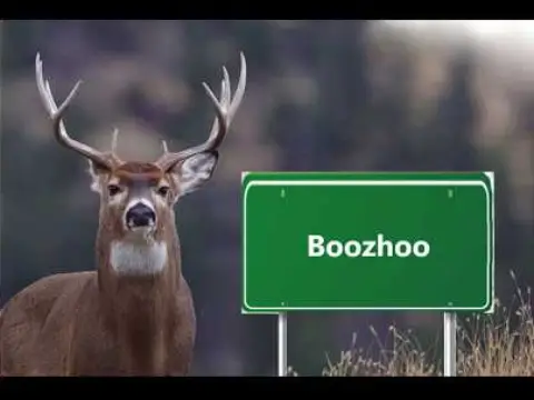 Intro to Ojibwe 2: Greetings (with Teacher Deer)